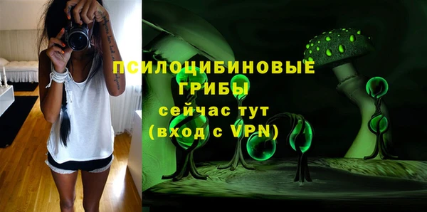 индика Алексеевка