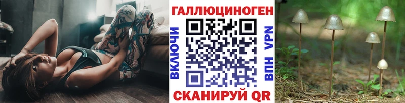 Псилоцибиновые грибы Psilocybine cubensis Алушта